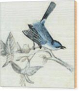 Rustic Aviary Iii Wood Print