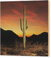 Saguaro Cactus At Sunset Wood Print