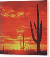 Saguaro National Park At Sunset - 04 Wood Print
