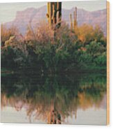 Saguaro Reflection Pano Wood Print