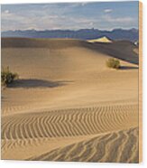 Sand Dunes In Death Valley Wood Print