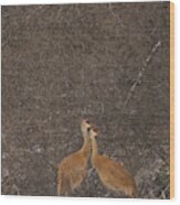 Sandhill Cranes In Snow Woodland Wood Print