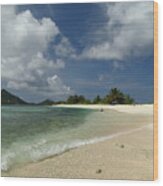 West Indies Sandy Island Wood Print