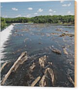 Savannah River Rapids - Augusta Ga Wood Print