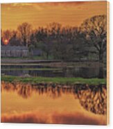 Scenic Pondquility - Spring Sunset Over A Wisconsin Farm Scene With Pond And Nesting Goose Wood Print