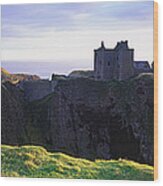Scotland, Aberdeen, Dunnotar Castle And Wood Print