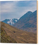 Scottish Highlands - Snow Capped Mountain Wood Print