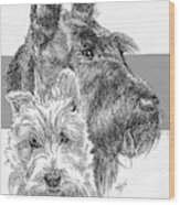 Scottish Terrier And Pup Wood Print
