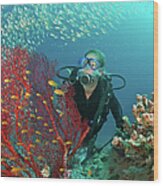 Scuba Diver Admires Fish And Red Fan Wood Print