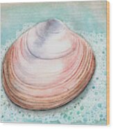 Sea Shell Wood Print
