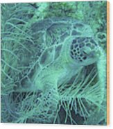 Sea Turtle Underwater Wonders Wood Print