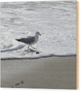 Seagull Running Through Waves Wood Print