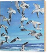 Seagulls Wood Print