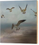 Seagulls In Flight Wood Print
