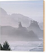 Seascape, Sea Mist On Coastline Wood Print