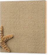 Seashell - Starfish On Beach Wood Print