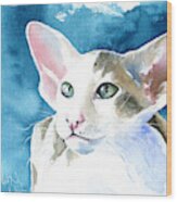 Selene Peterbald Cat Painting Wood Print