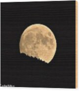 September Moonrise Wood Print