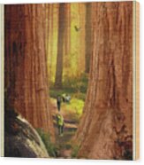 Sequoia Wood Print