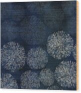 Shibori Sea Urchin Burst Pattern Dark Denim Wood Print
