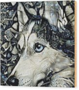 Siberian Husky Dog Abstract Art Wood Print