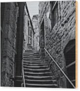 Side Street Steps Monochrome Wood Print