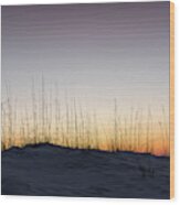Silhouette Of Sea Oats Wood Print