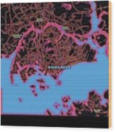 Singapore City Map Wood Print