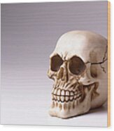 Skull With Copy Space Wood Print