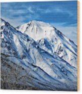 Snow Capped Mountains Wood Print