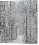 Snow Covered Trees Line The Path Wood Print