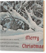 Snow Scene In The Forest - Christmas Card Version Wood Print