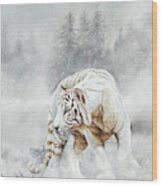 Snow Tiger Wood Print