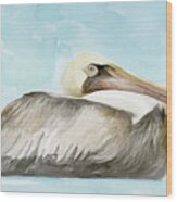 Soft Brown Pelican I Wood Print