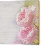 Soft Pink Rose With Space For Text Wood Print