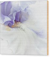 Softness Of A Lavender Iris Flower Wood Print