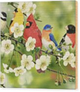 Songbirds On A Flowering Branch Wood Print