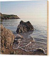 South Devon Seashore Wood Print
