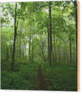 South District Shenandoah Green Wood Print