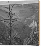 South Rim, Grand Canyon Wood Print