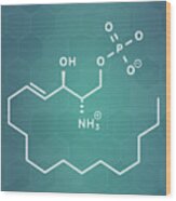 Sphingosine-1-phosphate Signalling Molecule Wood Print