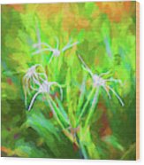 Spider Lily, And Day Lilies 106 Wood Print