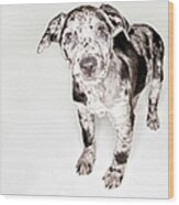 Spotted Puppy Wood Print