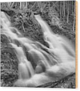 Spring At Sarrail Falls Black And White Wood Print