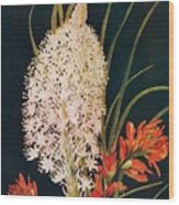 Squaw Grass And Scarlet Paint Brush Wood Print