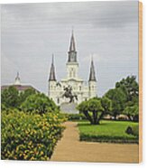 St. Louis Cathedral New Orleans Wood Print