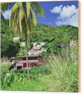 St. Lucia Neighborhood Wood Print