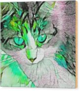 Stained Glass Cat Stare Green Eyes Wood Print