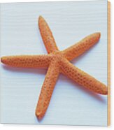 Starfish Wood Print