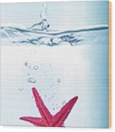 Starfish In Water Wood Print